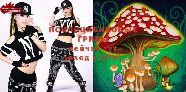 твердый Алексин